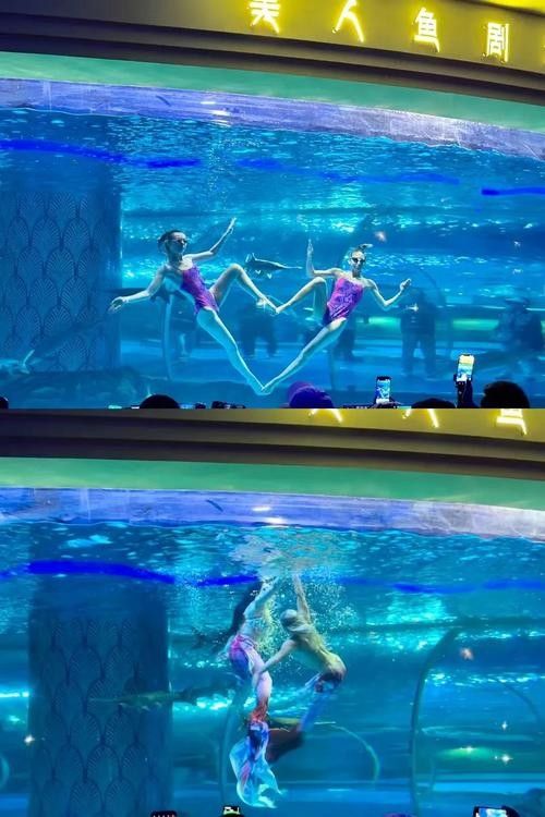 花地灣龍虎匯水族館的營業時間是？：廣州花地灣龍虎匯水族館門票多少錢