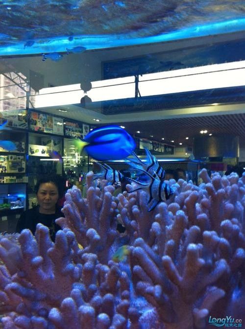 花地灣龍虎匯水族館的營業時間是？：廣州花地灣龍虎匯水族館門票多少錢