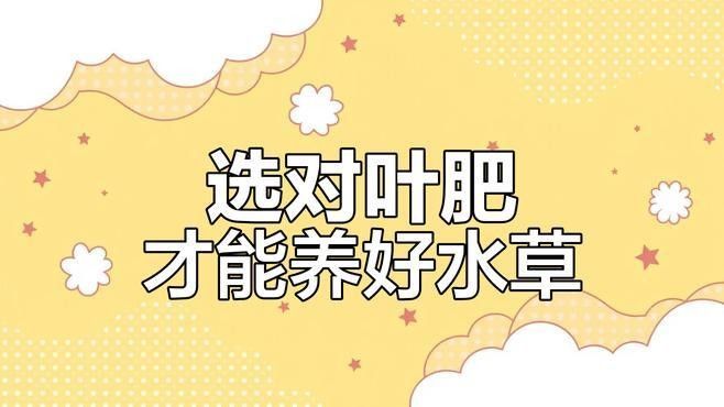 過背金龍魚缸水草需要哪些肥料：水草肥料怎么加氮磷鉀全解析