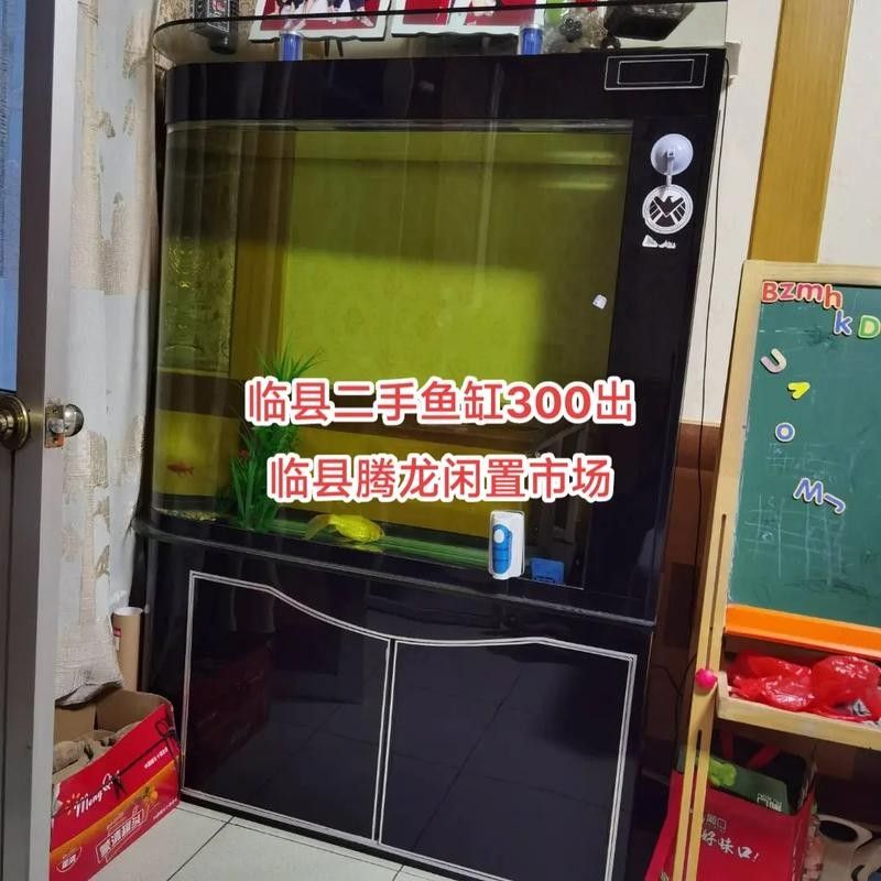 如何聯系騰龍魚缸的在線客服：騰龍公司官方網址多少