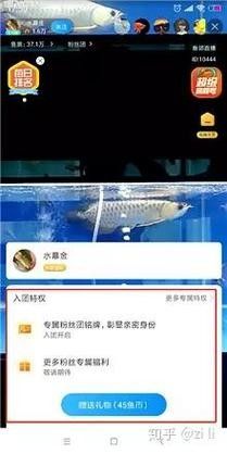 龍巔魚鄰APP如何使用：龍巔魚鄰appv7.0.12安卓版光速下載網