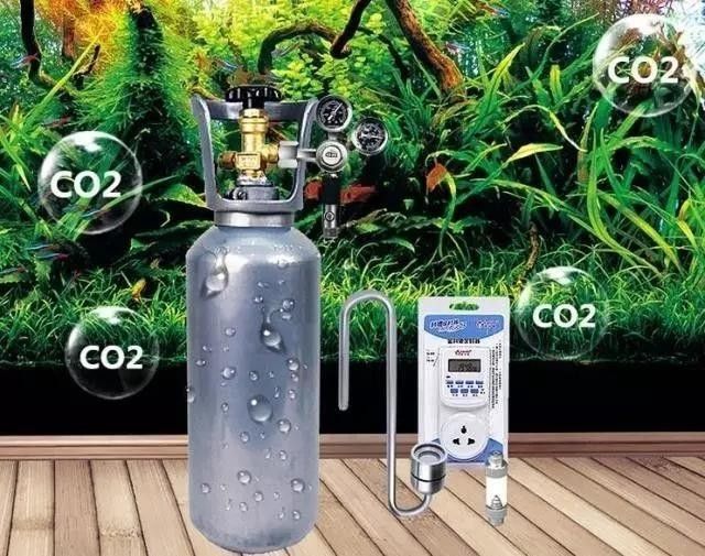 龍巔魚鄰APP如何使用：龍巔魚鄰appv7.0.12安卓版光速下載網