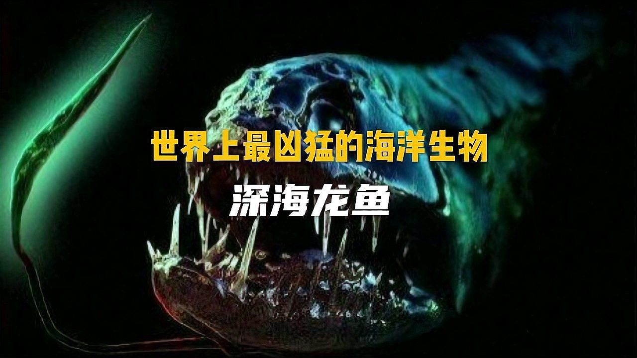 深海龍魚有哪些天敵：6種生活在深海的怪魚,長相或許將超乎你的想象!