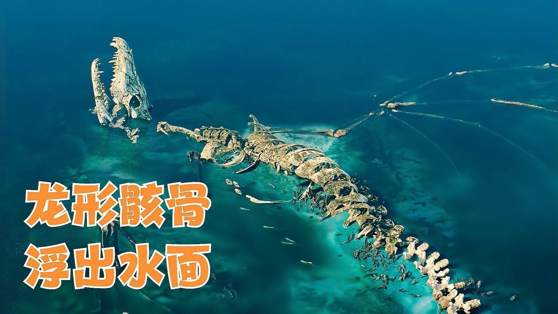 龍族繁育機制的歷史背景：恐龍未解之謎