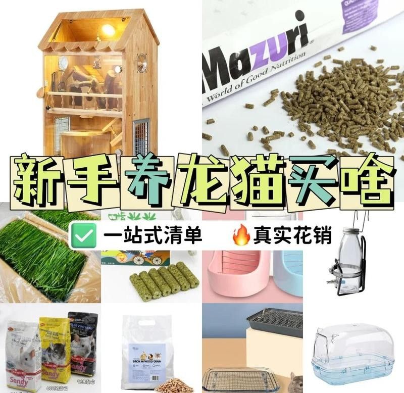 龍貓散養需要哪些設施？：龍貓散養需確保環境安全且符合其習性