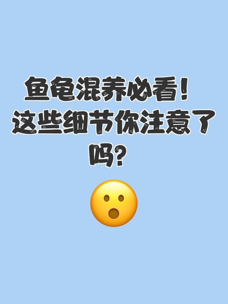 龍龜和什么魚可以混養：烏龜缸里最建議養的魚