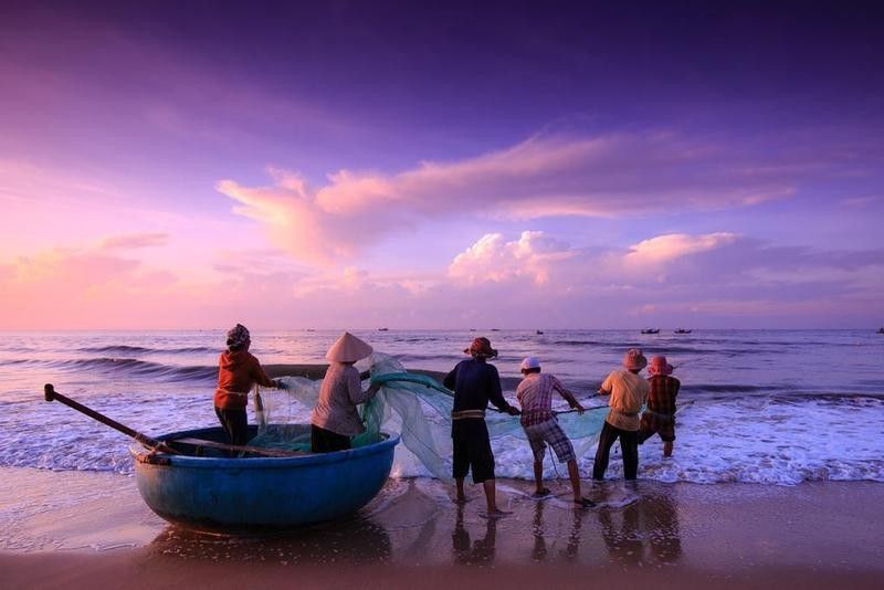 能推薦更多高清金龍魚背景圖嗎：高清金龍魚背景圖資源