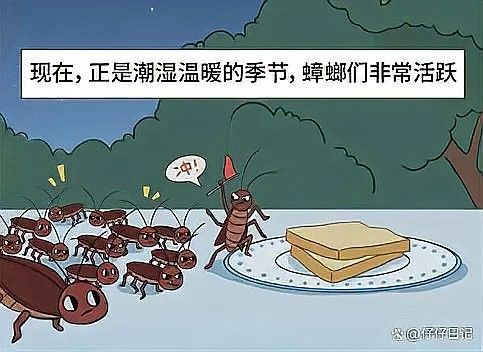 如何預防寄生蟲感染？：如何預防寄生蟲感染