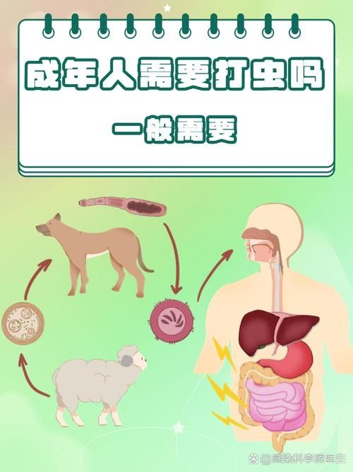 如何預防寄生蟲感染？：如何預防寄生蟲感染