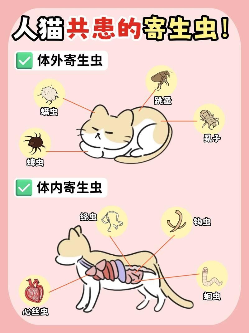 如何預防寄生蟲感染？：如何預防寄生蟲感染