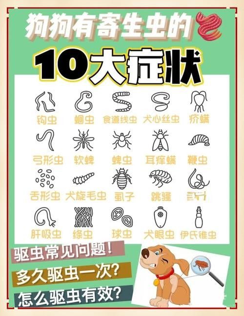 如何預防寄生蟲感染？：如何預防寄生蟲感染