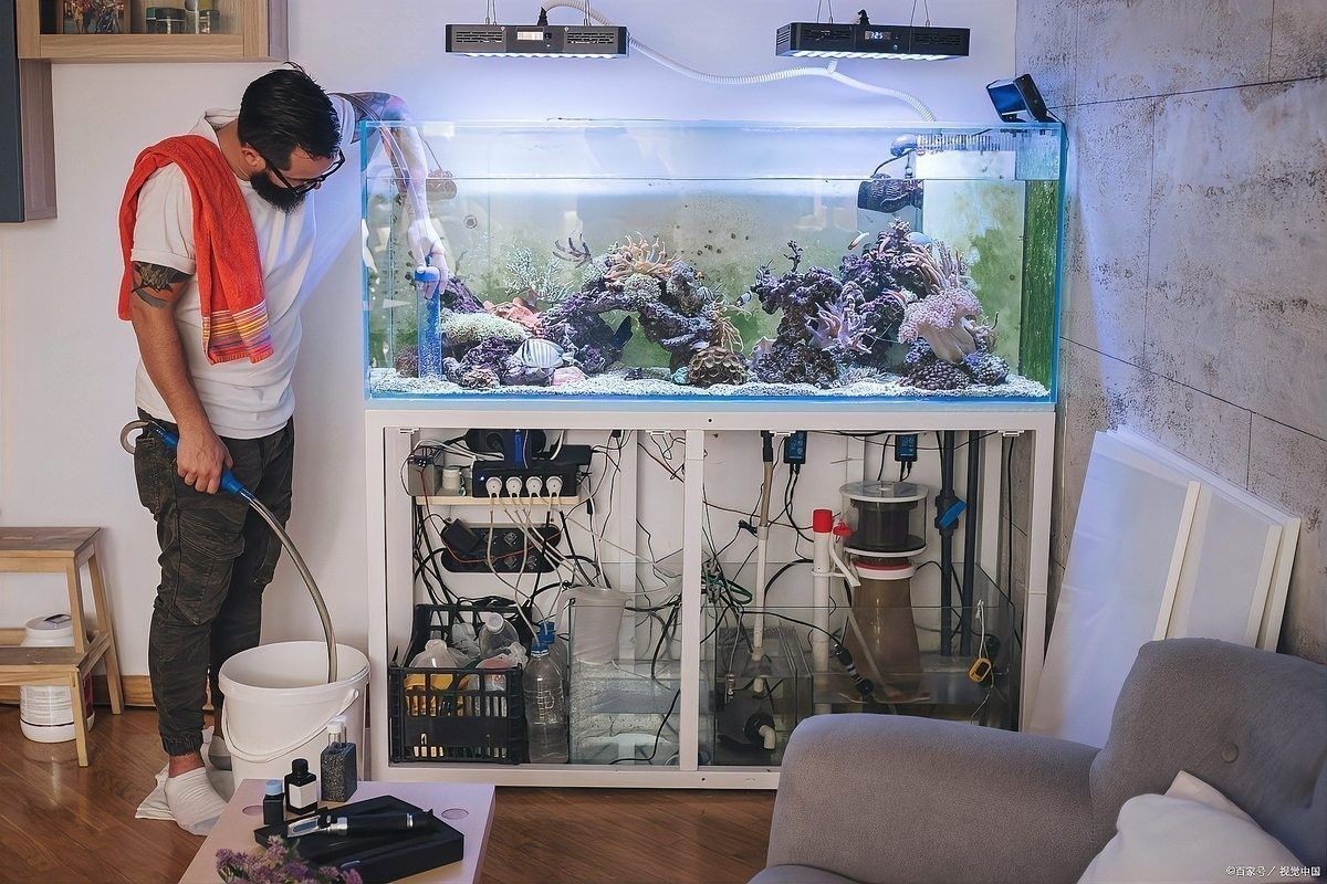 滴流過濾的維護頻率：養龜過濾系統怎么維護