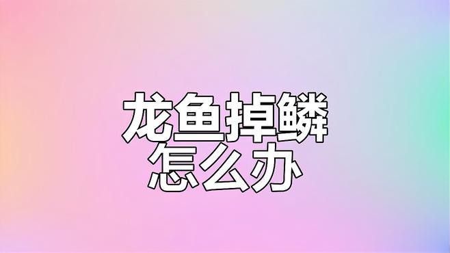 如何判斷龍魚掉鱗是哪種原因：養魚小藝,龍魚掉鱗片是怎么回事