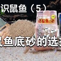 有哪些深色細(xì)砂推薦：老河馬的萌寵,魚缸底砂哪個(gè)牌子好