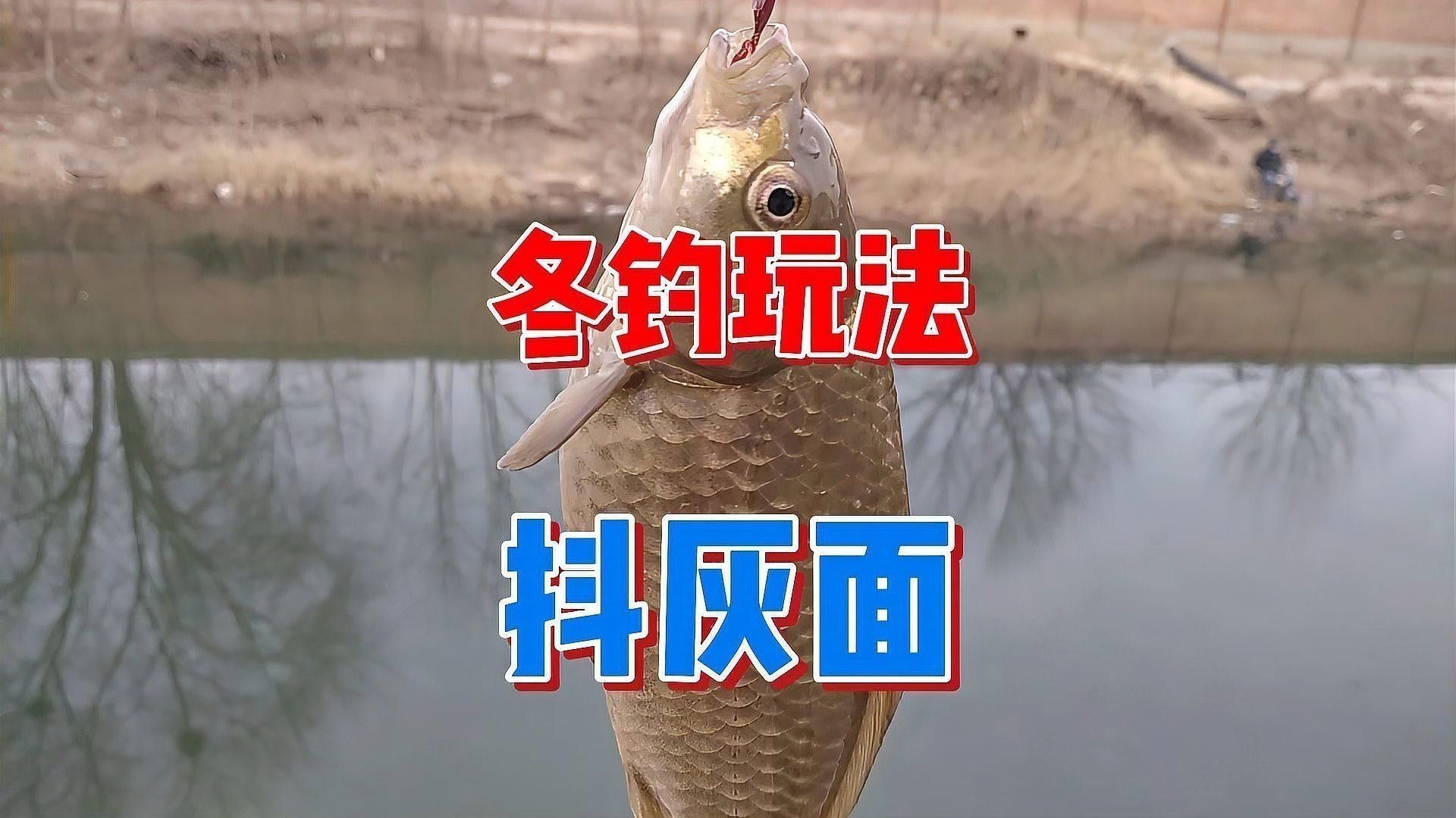 如何處理活餌的衛(wèi)生問題：活餌料消毒的常見做法 如何處理活餌的衛(wèi)生問題：活餌料消毒的常見做法 龍魚百科 第5張