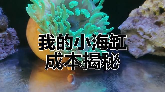 海水缸應該選擇哪種材質：海水缸材質選擇主要涉及玻璃和亞克力兩種主流材質