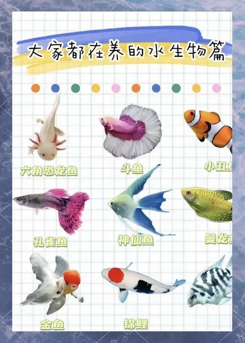 能提供更多混養(yǎng)魚(yú)類(lèi)的圖片嗎：關(guān)于混養(yǎng)魚(yú)類(lèi)的圖片資源推薦