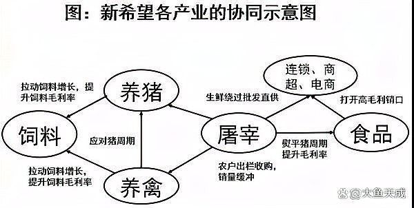 這些養殖場中哪家規模最大？：中國養殖行業中規模最大的十大養豬場