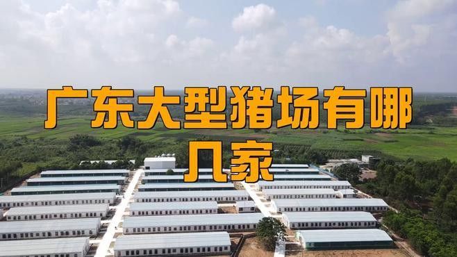 這些養殖場中哪家規模最大？：中國養殖行業中規模最大的十大養豬場