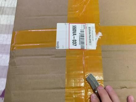 哪些食物有助于古典過背金龍魚發色：古典過背金龍魚怎么養