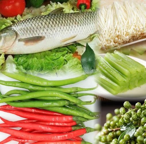 哪些食物有助于古典過背金龍魚發色：古典過背金龍魚怎么養