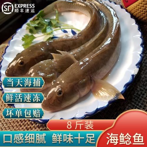 小龍魚的價格范圍是多少？：小龍魚價格范圍因品種和用途不同而差異較大