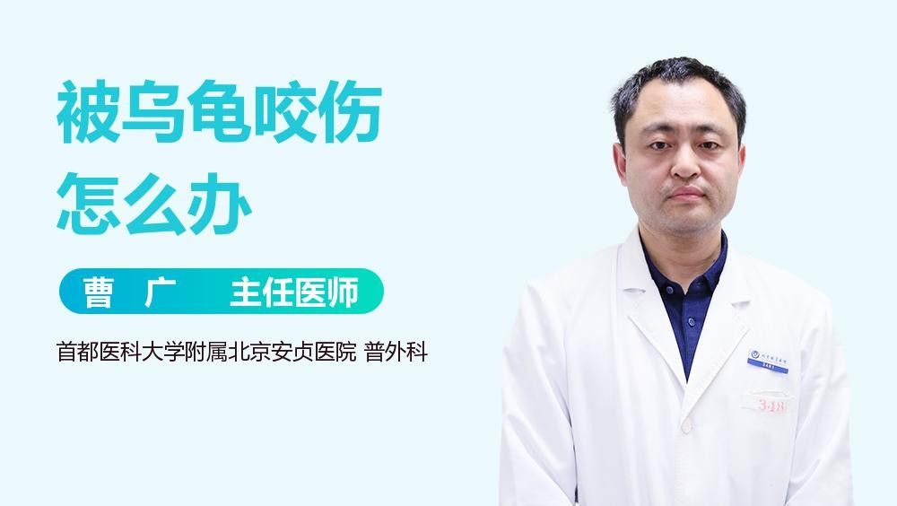 如何避免火焰龜咬傷龍魚：火焰龜40問之第15問