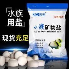 海水龍魚的價格是多少：如何判斷海水龍魚的品種 海水龍魚的價格是多少：如何判斷海水龍魚的品種 龍魚百科 第8張