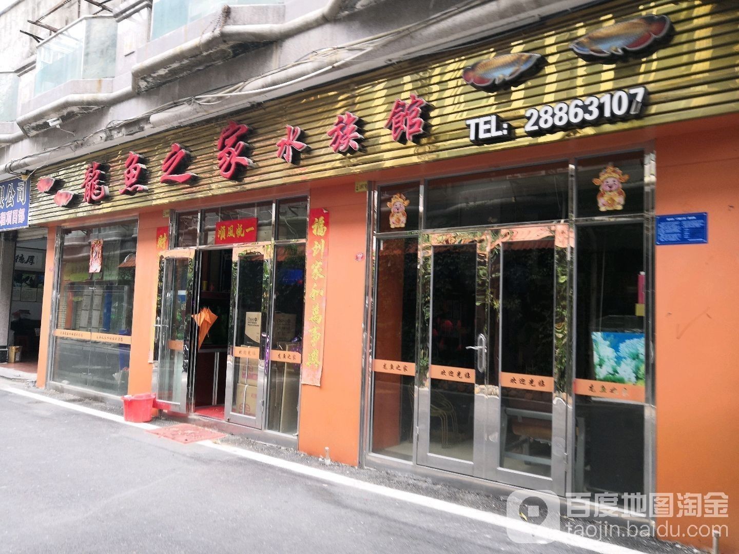 永定哪個(gè)水族館龍魚好？祥龍魚場(chǎng)龍魚：永定地區(qū)有哪些專業(yè)龍魚水族館？