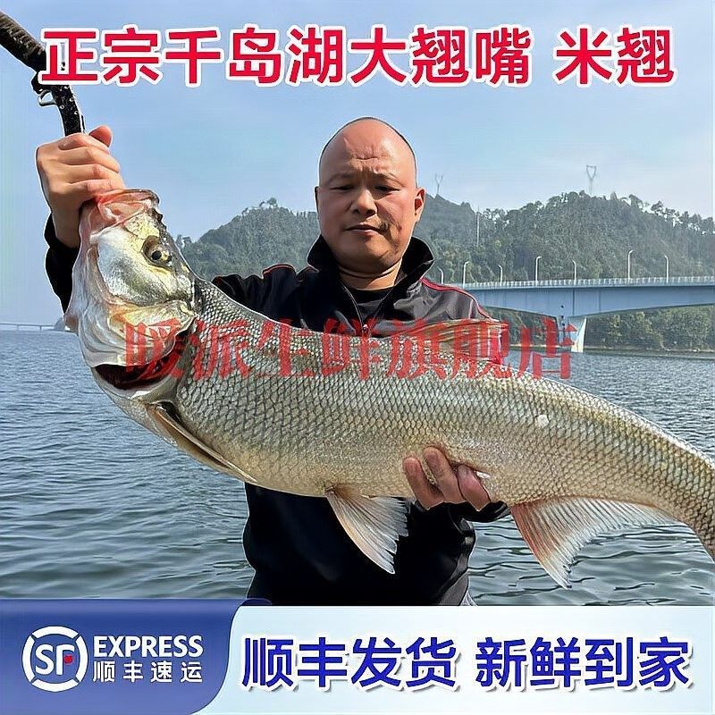 翹嘴龍魚的價格是多少？：翹嘴魚的價格因品種、規格和銷售渠道差異較大