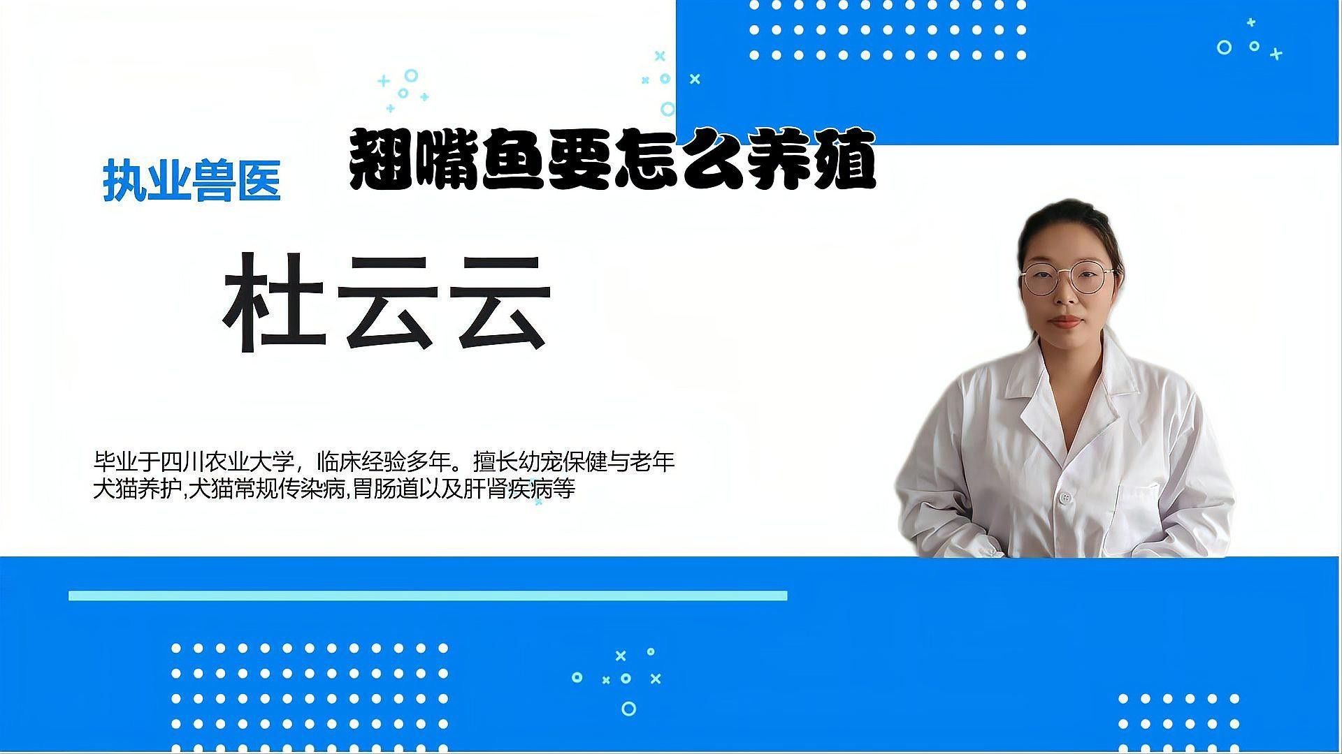 翹嘴龍魚的價格是多少？：翹嘴魚的價格因品種、規格和銷售渠道差異較大