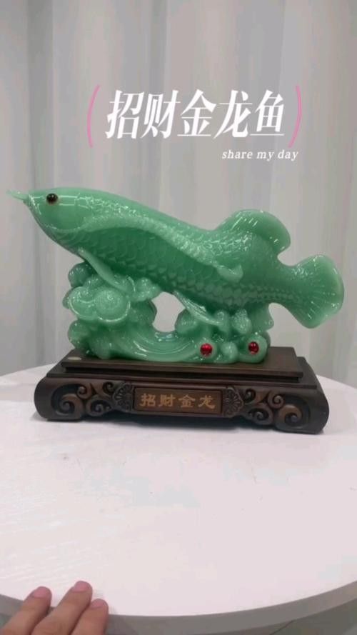 金龍魚微信頭像有哪些風格？：金龍魚微信頭像的風格多樣