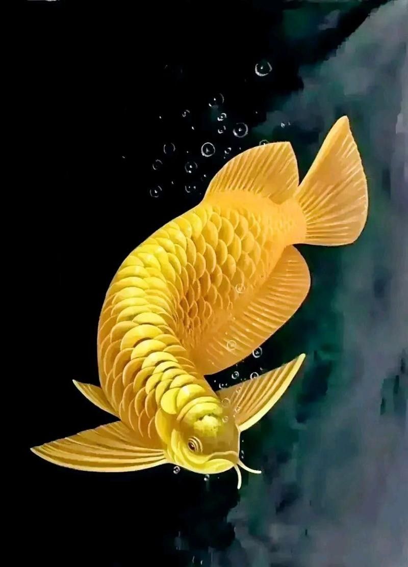 推薦一些高清金龍魚壁紙：金龍魚壁紙推薦