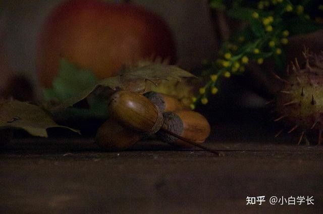 如何預防龍龜脫水？：如何預防龍龜脫水 如何預防龍龜脫水？：如何預防龍龜脫水 龍魚百科 第7張