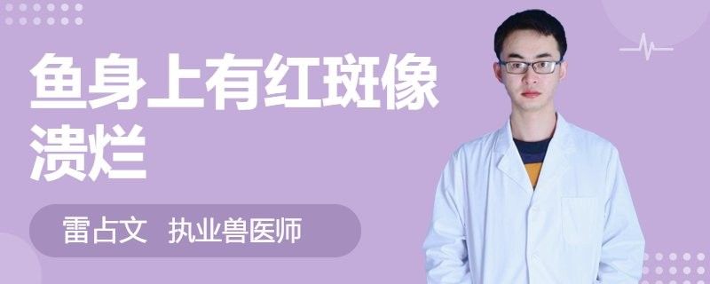 六角龍魚身上爛了會死嗎：六角龍魚死亡前兆汪星社寵物三千問