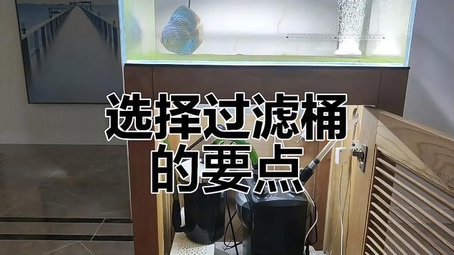 龍魚缸改草缸后如何維護：草缸造景丨草缸維護全解析