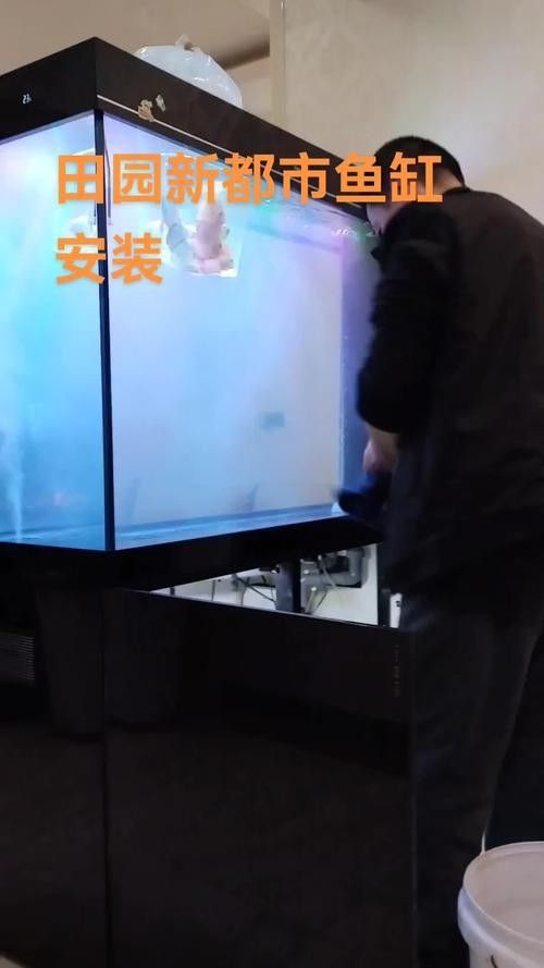 如何聯系博士龍魚缸的售后服務？：博士龍魚缸保修期是多久？