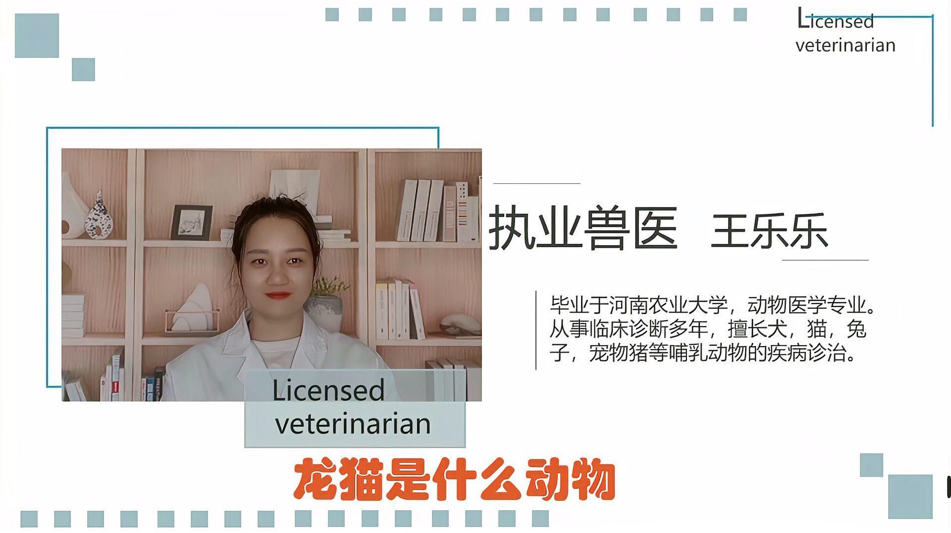 龍魚貓是不是指龍貓：龍貓是什么？