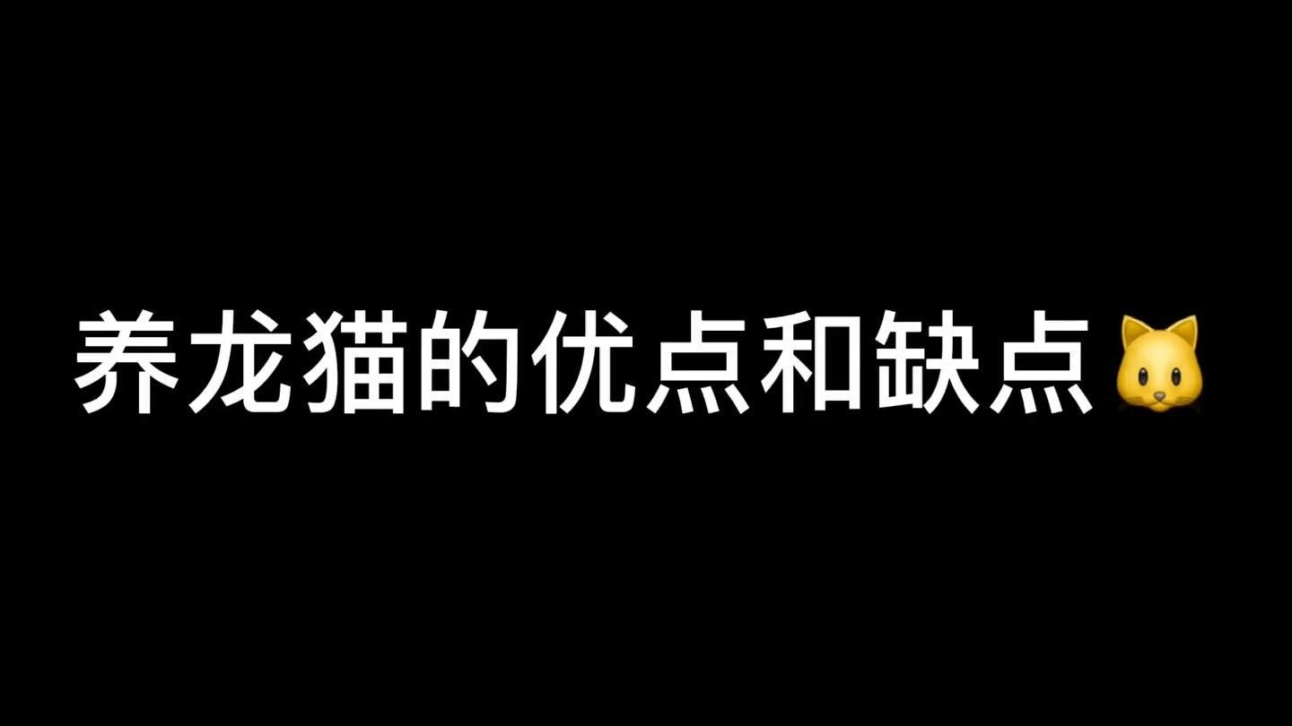 龍魚貓是不是指龍貓：龍貓是什么？