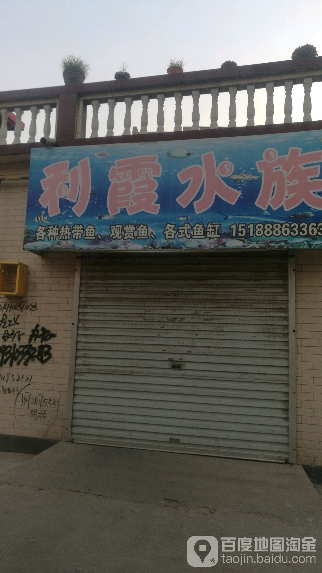 磁縣哪個(gè)水族館龍魚好？祥龍魚場龍魚：廣州龍魚祥龍魚場白玉紅龍魚白玉紅龍魚飼養(yǎng)全指南 磁縣哪個(gè)水族館龍魚好？祥龍魚場龍魚：廣州龍魚祥龍魚場白玉紅龍魚白玉紅龍魚飼養(yǎng)全指南 龍魚百科 第7張
