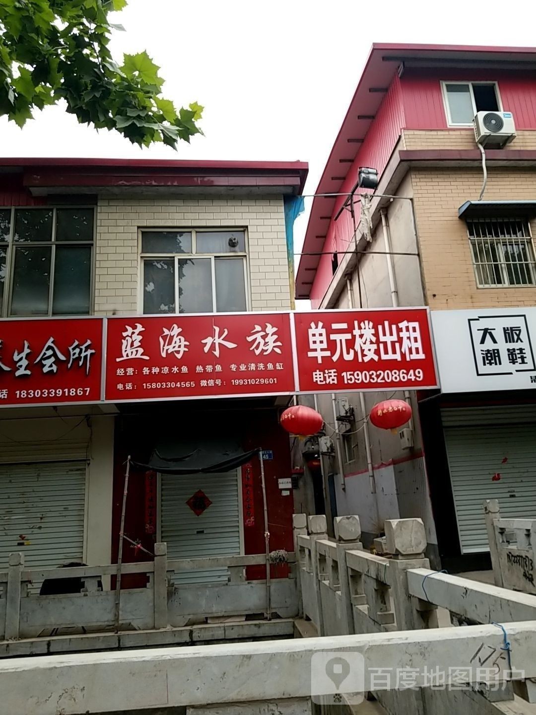 磁縣哪個(gè)水族館龍魚好？祥龍魚場龍魚：廣州龍魚祥龍魚場白玉紅龍魚白玉紅龍魚飼養(yǎng)全指南 磁縣哪個(gè)水族館龍魚好？祥龍魚場龍魚：廣州龍魚祥龍魚場白玉紅龍魚白玉紅龍魚飼養(yǎng)全指南 龍魚百科 第6張