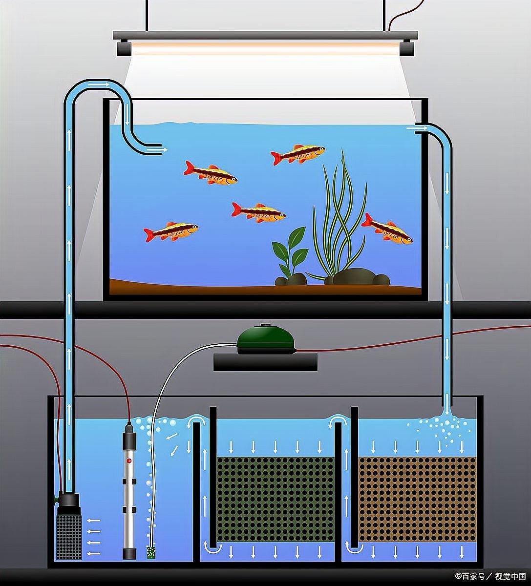 哪種品牌的龍魚過濾器最好：老河馬的萌寵魚缸過濾器怎么安裝及魚缸過濾器全攻略