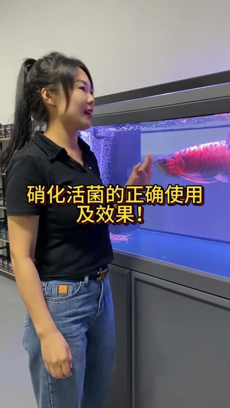 紅龍魚水質檢測筆推薦：紅龍魚水質檢測筆