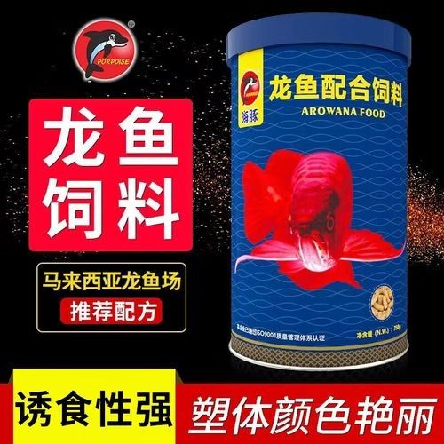 汕頭龍魚批發市場哪家最好：汕頭地區暫未檢索到專門的龍魚批發市場