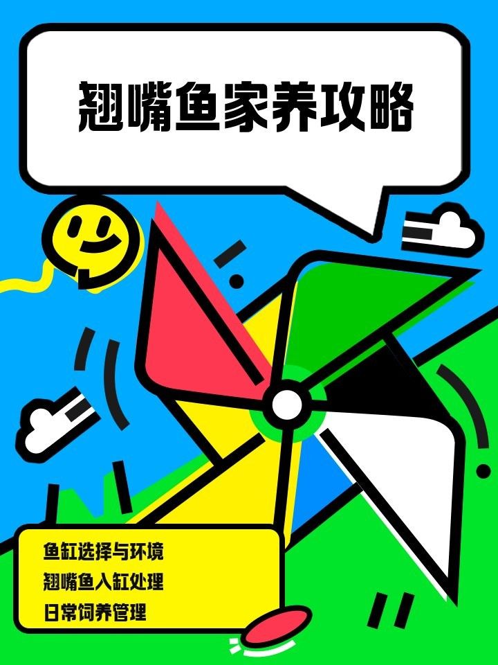 翹嘴魚養殖需要哪些設備？：微風中的蒲公英
