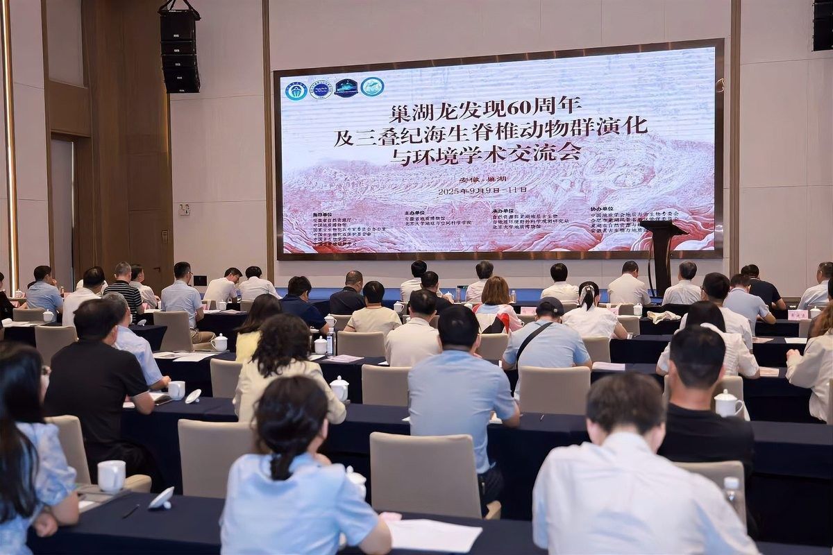 巢湖龍魚化石的科研進展：2025年正值巢湖龍化石發現60周年專家齊聚共話科研金臺
