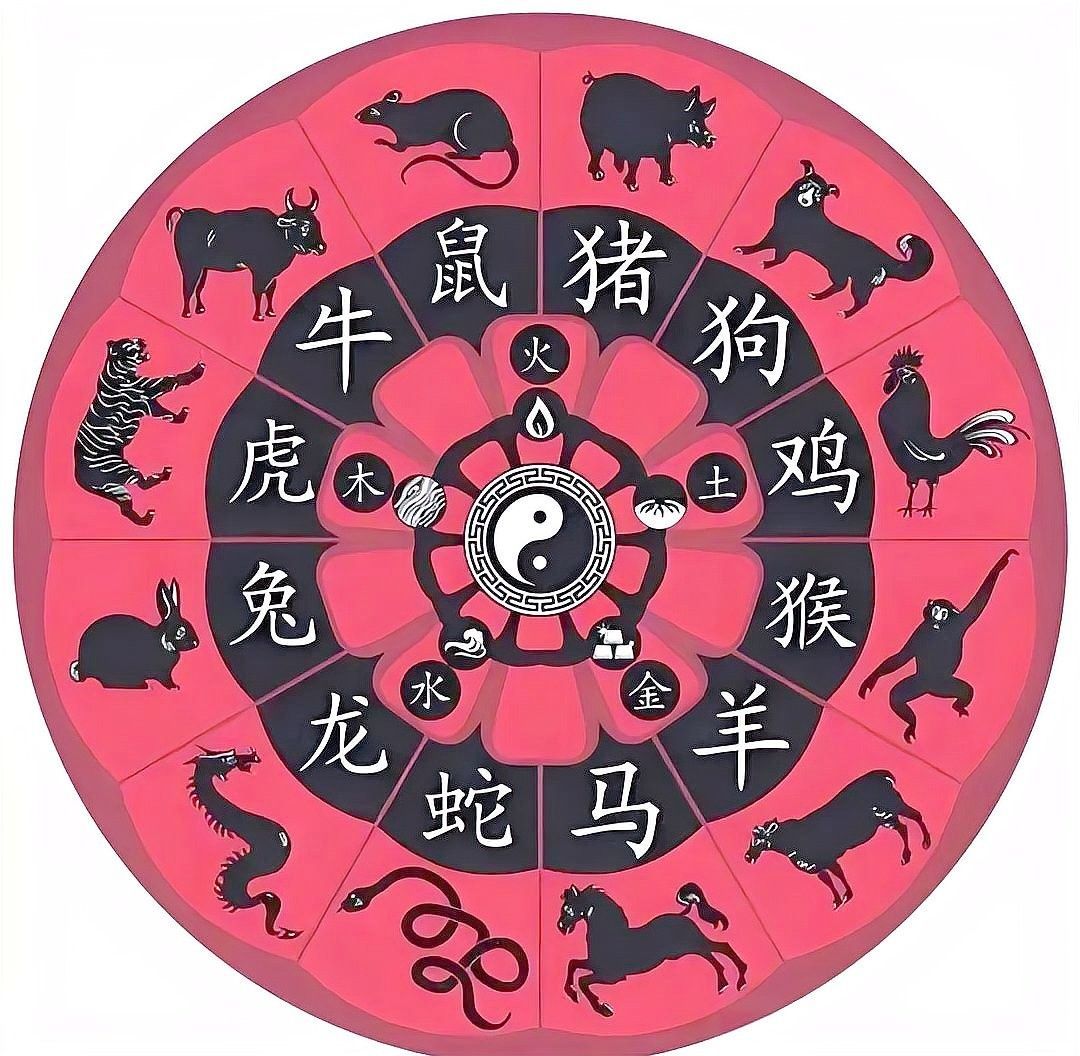 白玉金龍魚適合哪些生肖佩戴：白玉金龍魚佩戴禁忌