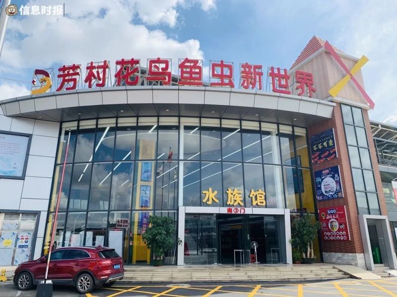 花地灣藝和花鳥魚蟲市場搬遷后有哪些商戶：花地灣藝和花鳥魚蟲市場搬遷后，有哪些新增商戶？