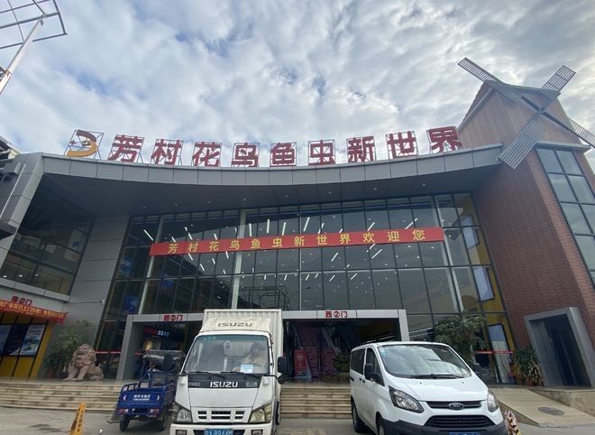 花地灣藝和花鳥魚蟲市場搬遷后有哪些商戶：花地灣藝和花鳥魚蟲市場搬遷后，有哪些新增商戶？