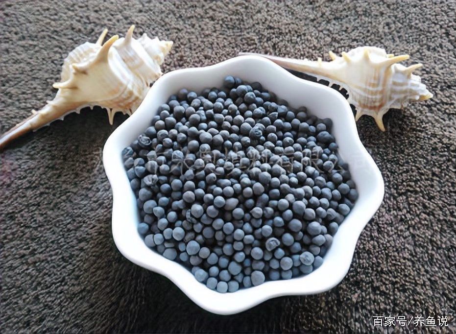 如何選擇合適的底砂？：養(yǎng)魚說，魚缸底砂用什么好 如何選擇合適的底砂？：養(yǎng)魚說，魚缸底砂用什么好 龍魚百科 第6張
